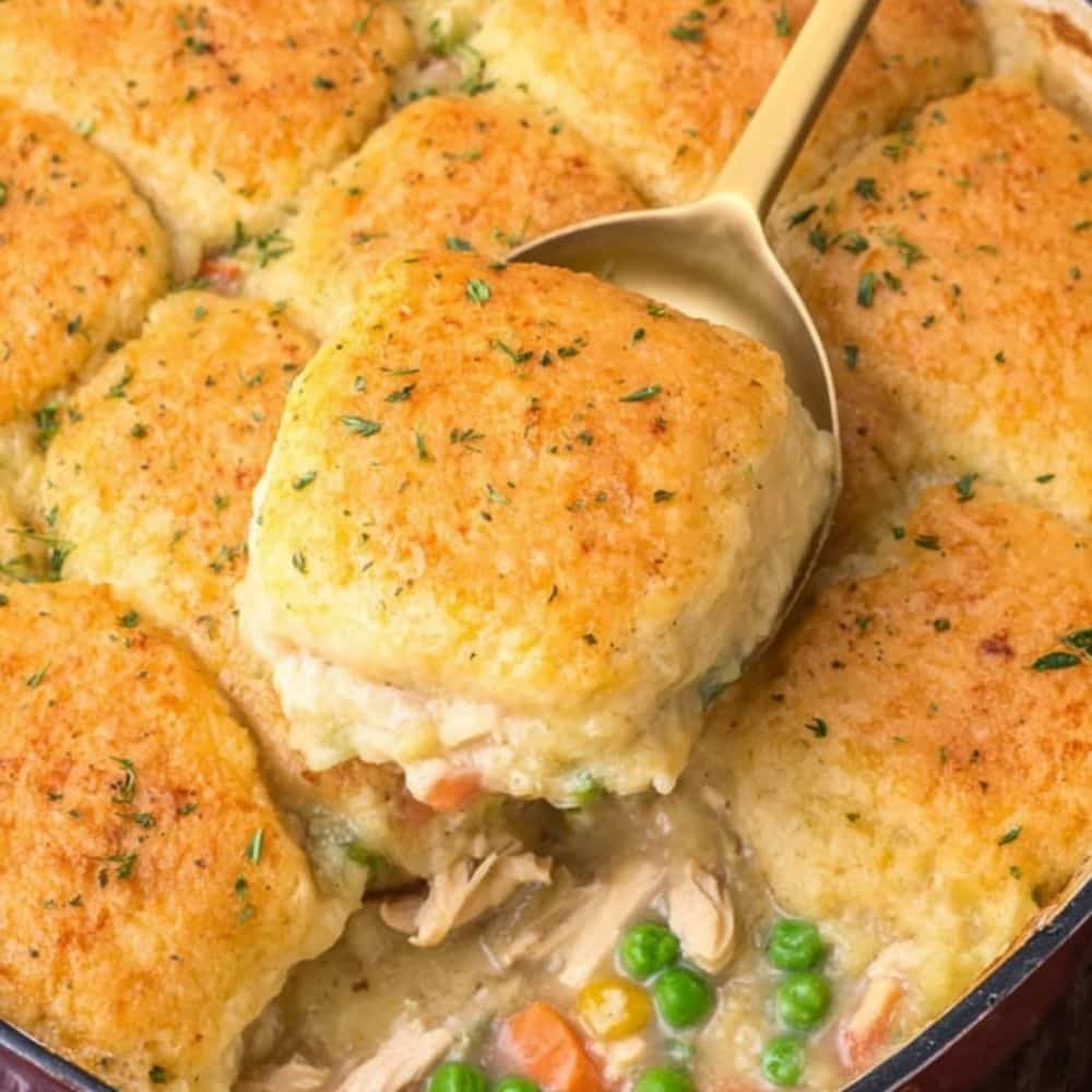 Best Chicken Cobbler Casserole Recipe - Easy & Delicious 1 Chicken Cobbler Casserole