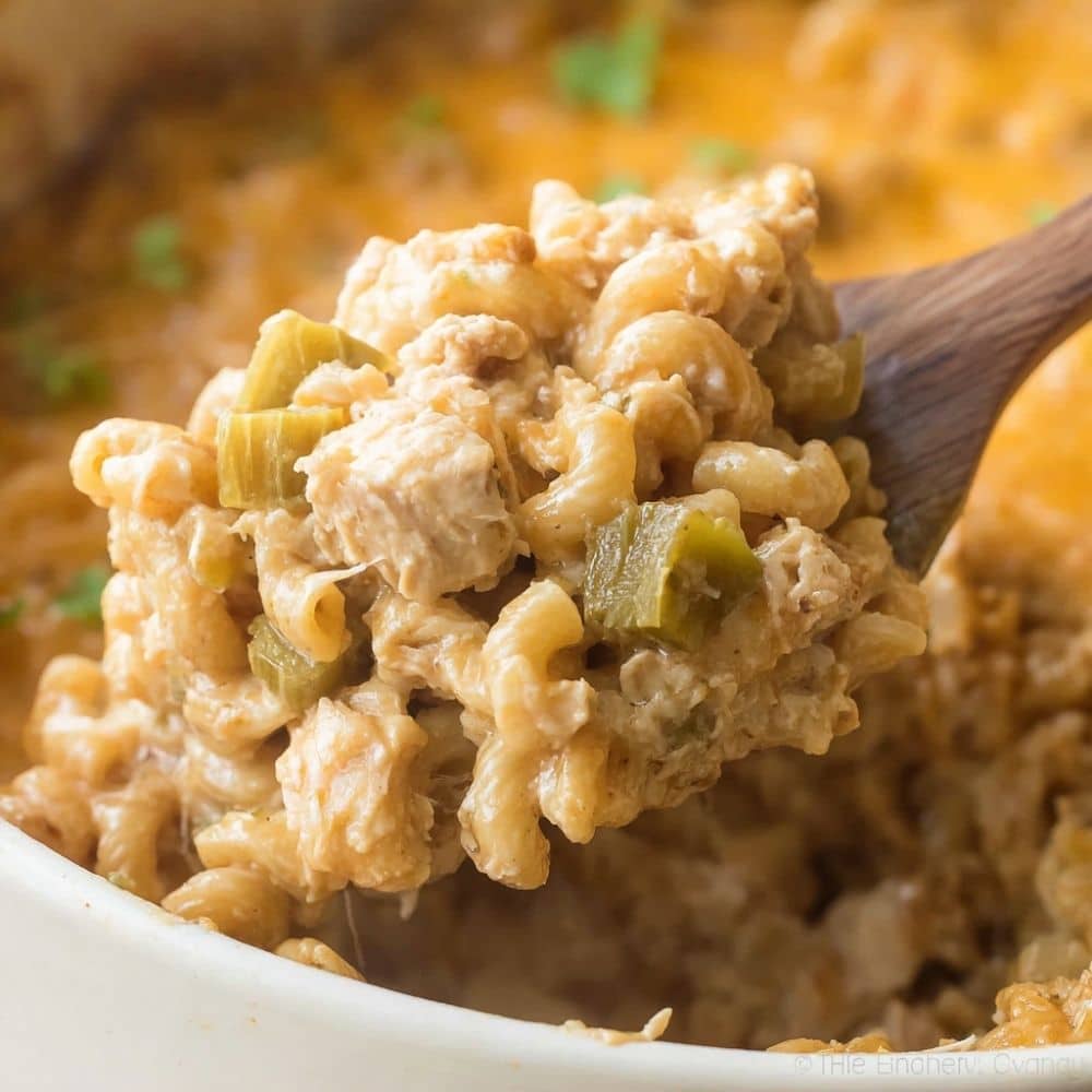 Easy Chicken Macaroni Casserole Recipe
