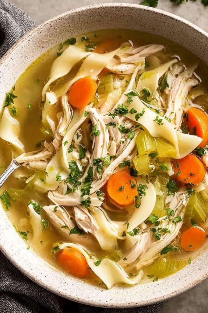 Best Homemade Chicken Noodle Soup Recipe 1 Chicken Noodle Soup