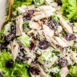 chicken salad with cranberries recipe