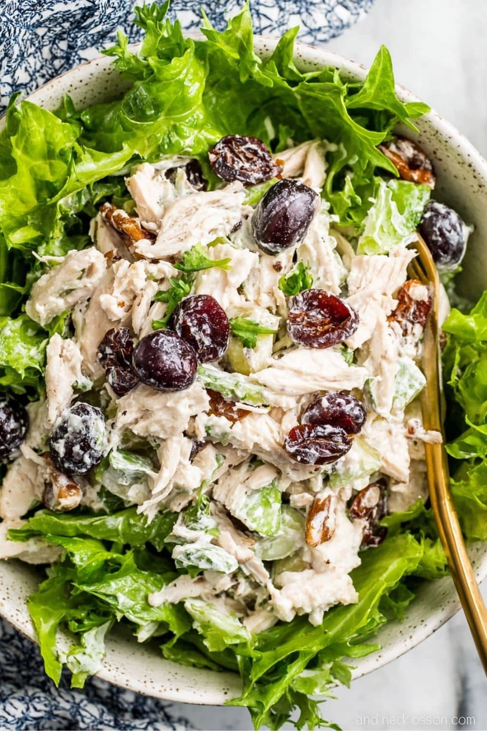 chicken salad with cranberries